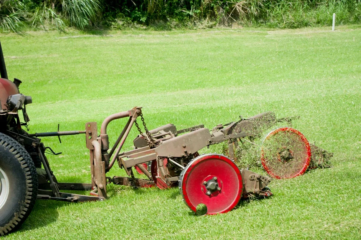 1452927_l-2.jpg.webp