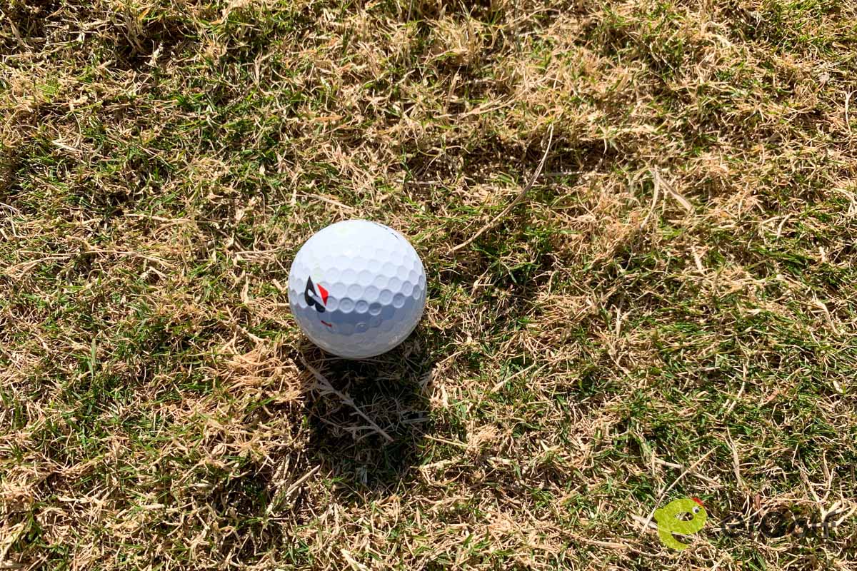 ラフの芝種も深さもバリエーションに富む