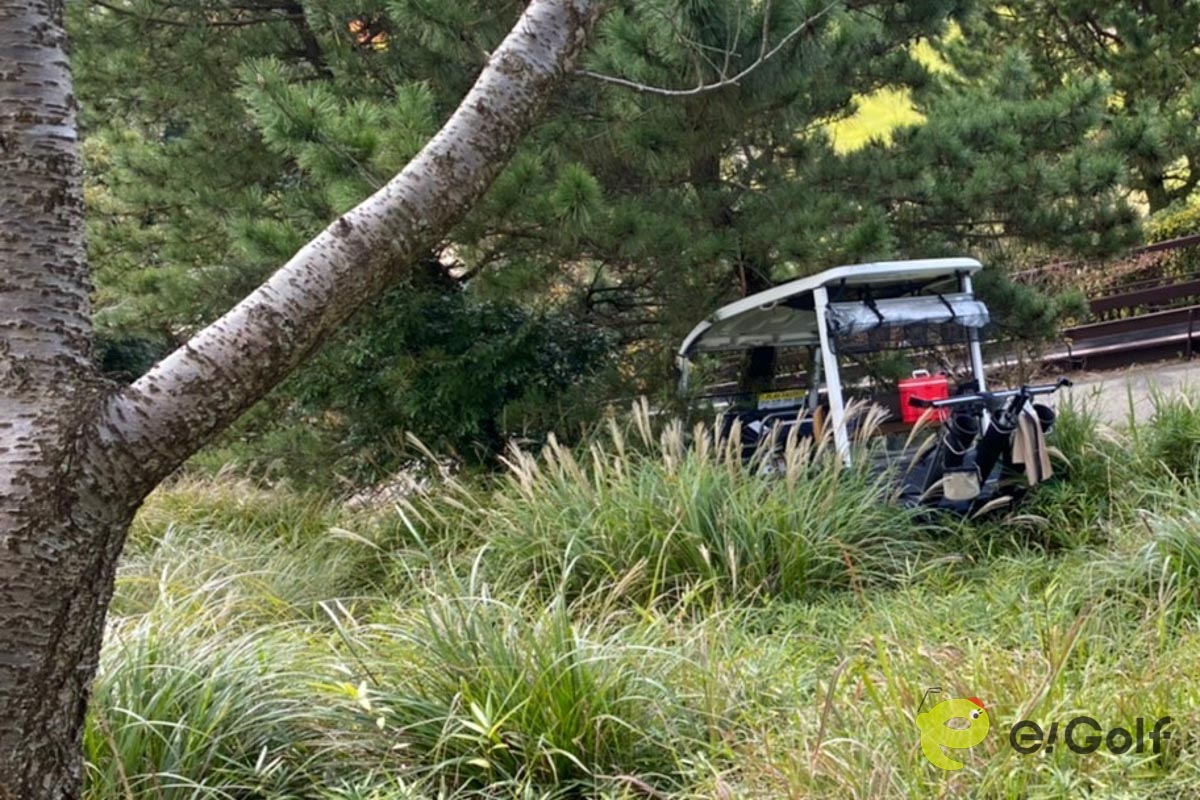 ハンドルミスで斜面に突っ込んでしまった乗用カート。常に運転には気をつけたい