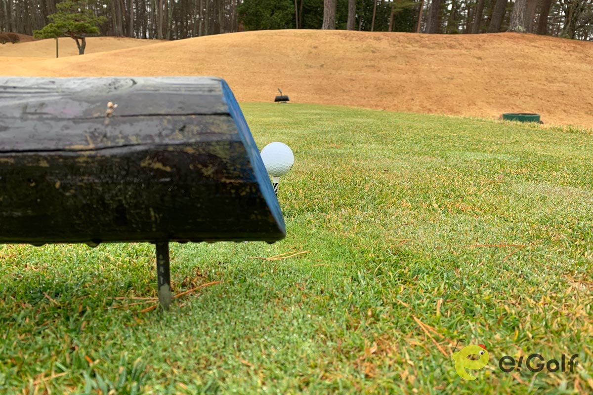 「ギリギリ」ティーイングエリア内にティーアップしたボール