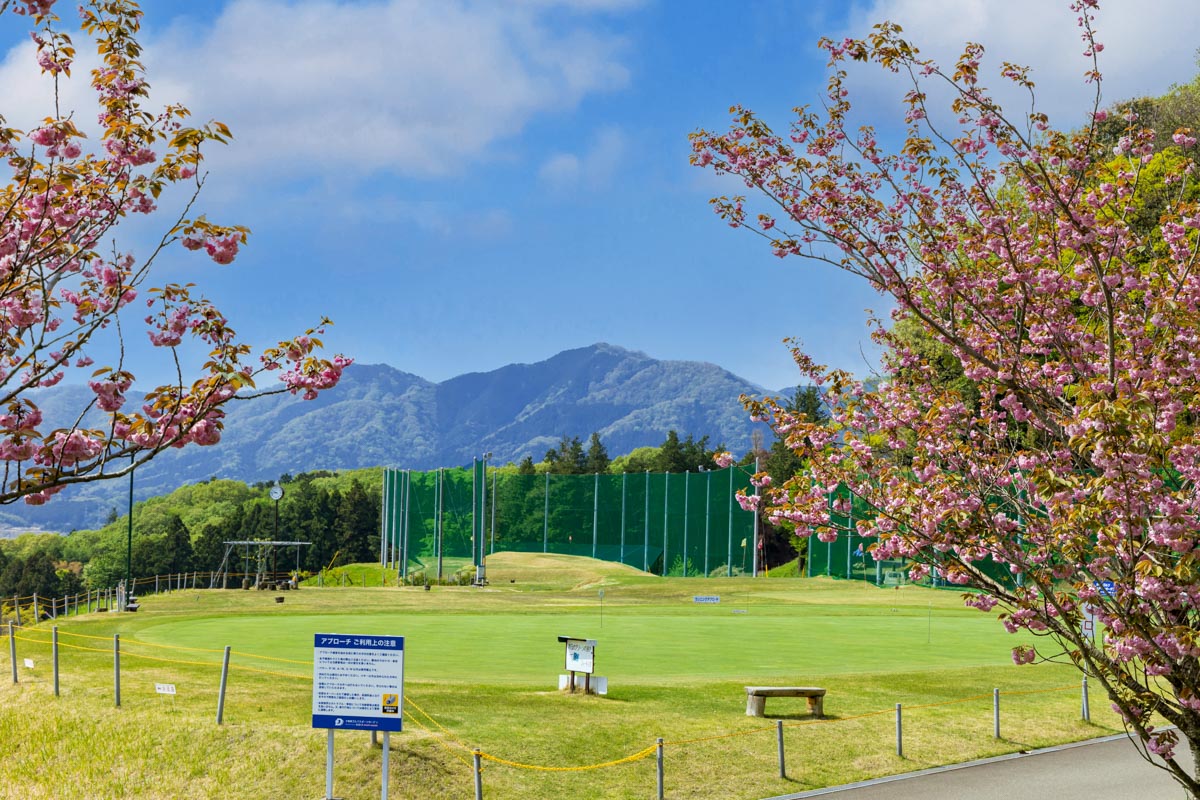 大相模カントリークラブ＆大相模ゴルフスポーツガーデン（神奈川県）　大相模ゴルフスポーツガーデンのアプローチ練習場。のどかな雰囲気と景色も魅力的　写真:大相模ゴルフスポーツガーデン