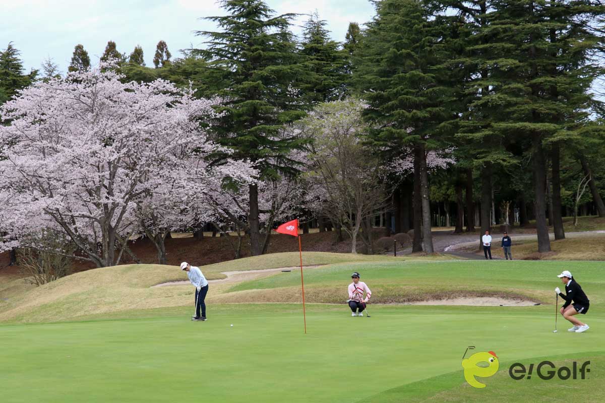 満開の桜の下でプレーしたジュニアたち　写真：清流舎