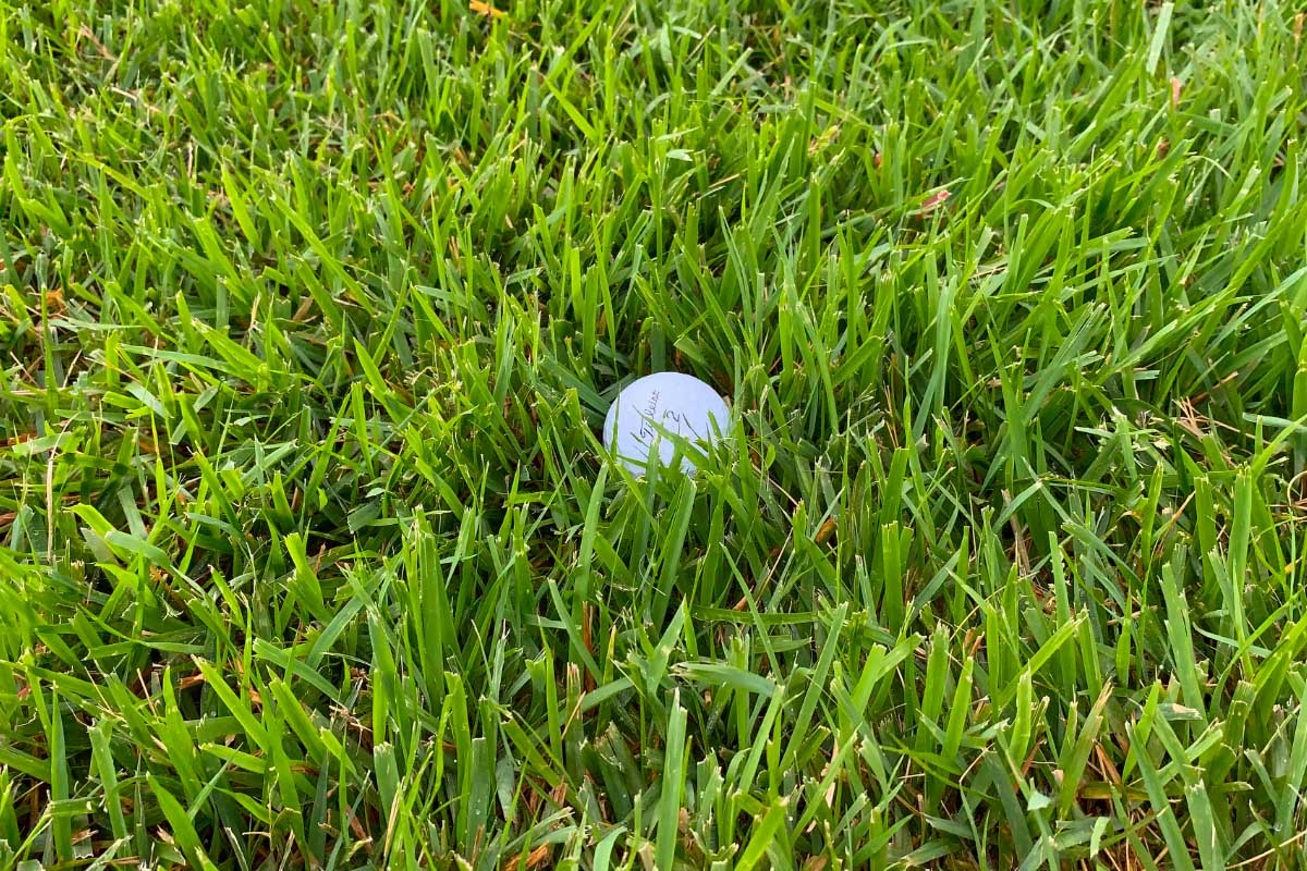 目立たない限りパンティライナーは着用しないでください