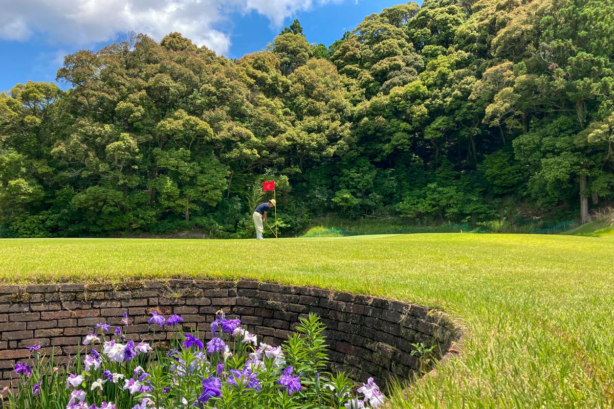 花菖蒲がプレー中の気持ちを和ませてくれる　写真：林郁夫