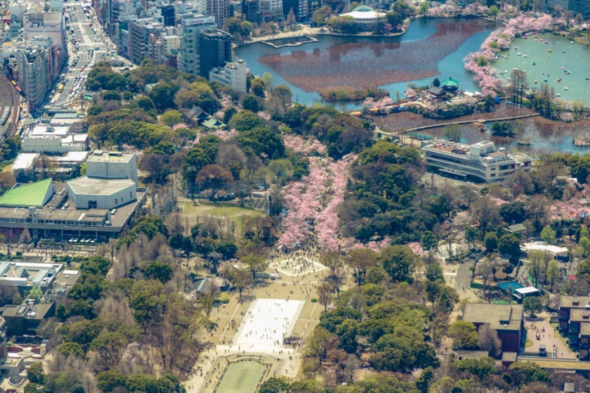 上野　写真：AirX提供