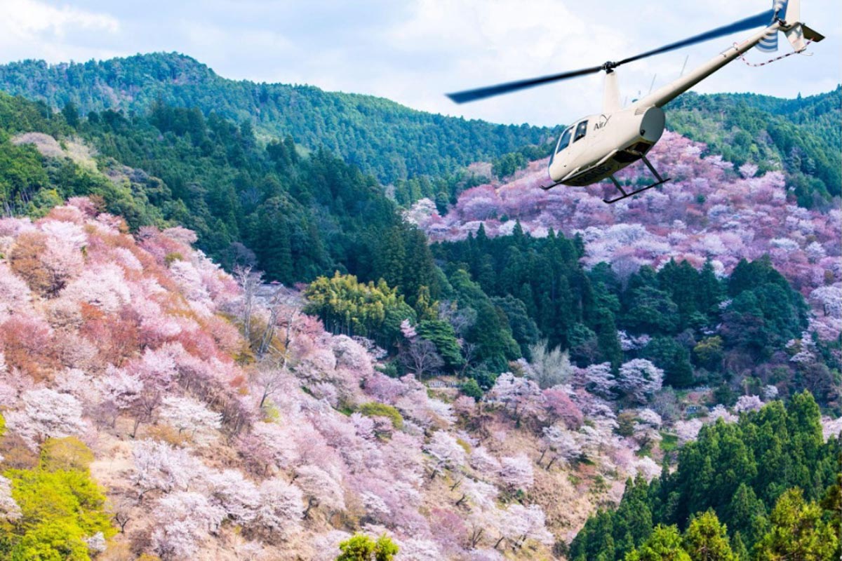 春の吉野　写真：AirX提供