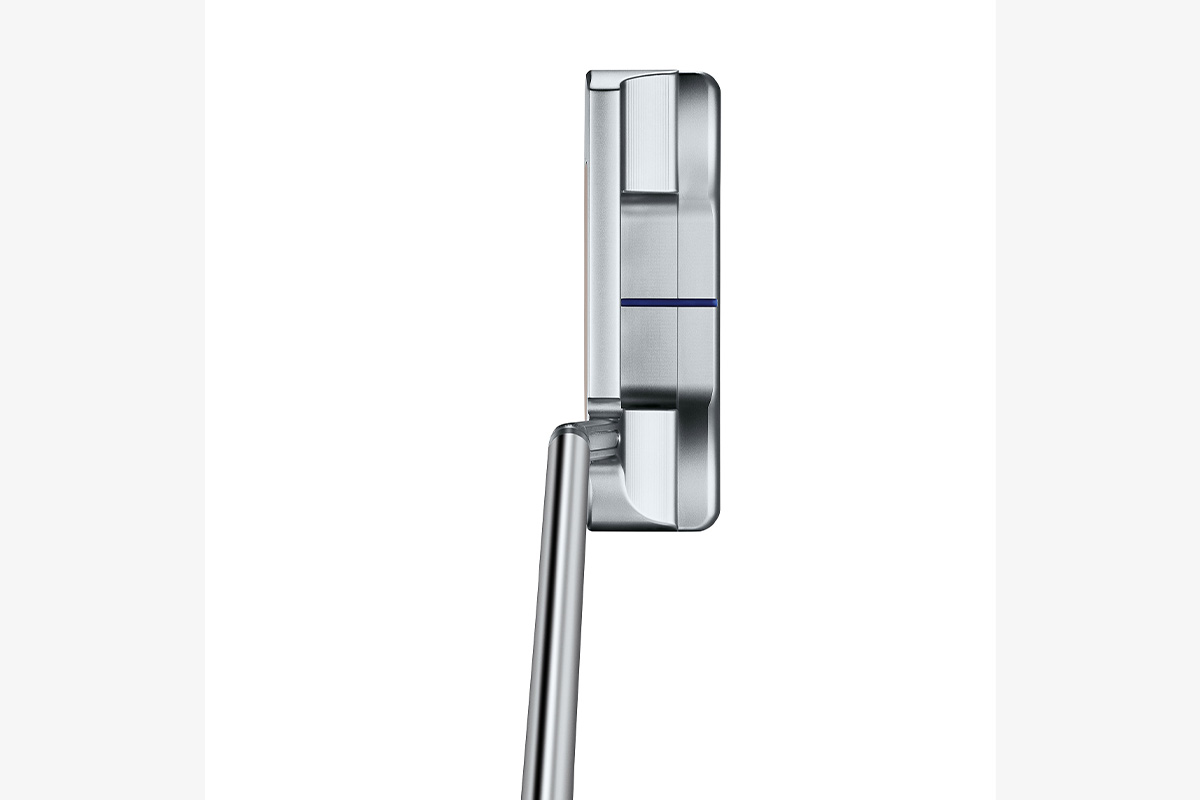 「チャンピオンズチョイス ニューポート1.5プラス ボタンバック」