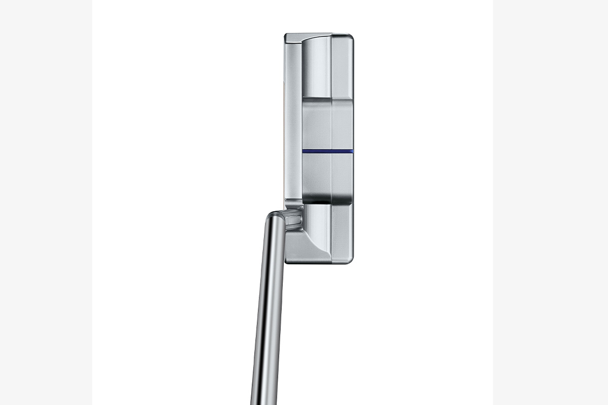 「チャンピオンズチョイス ニューポート2.5プラス ボタンバック」