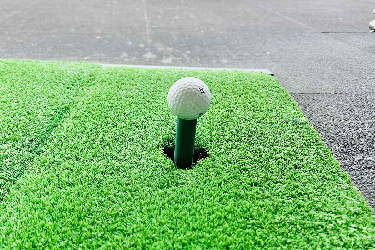 鉄剤注入と注射の比較