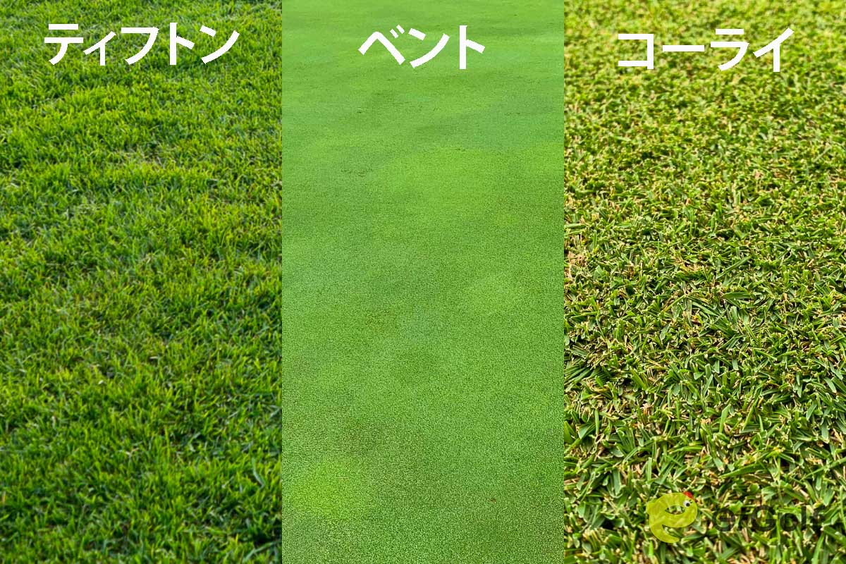 ベントリン HFA と妊娠