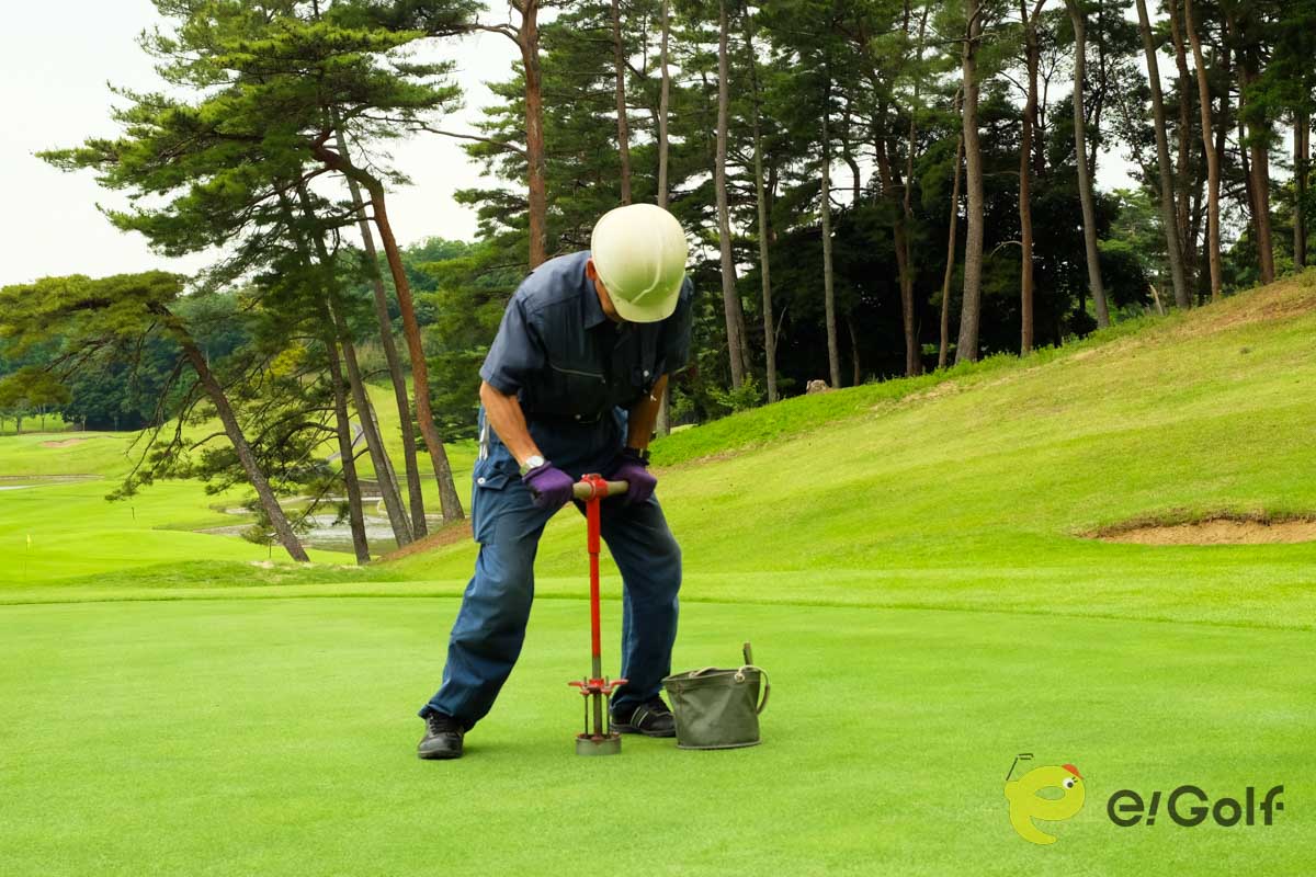 次にホールカップと同じ深さまでカッターを入れて土を取り除く