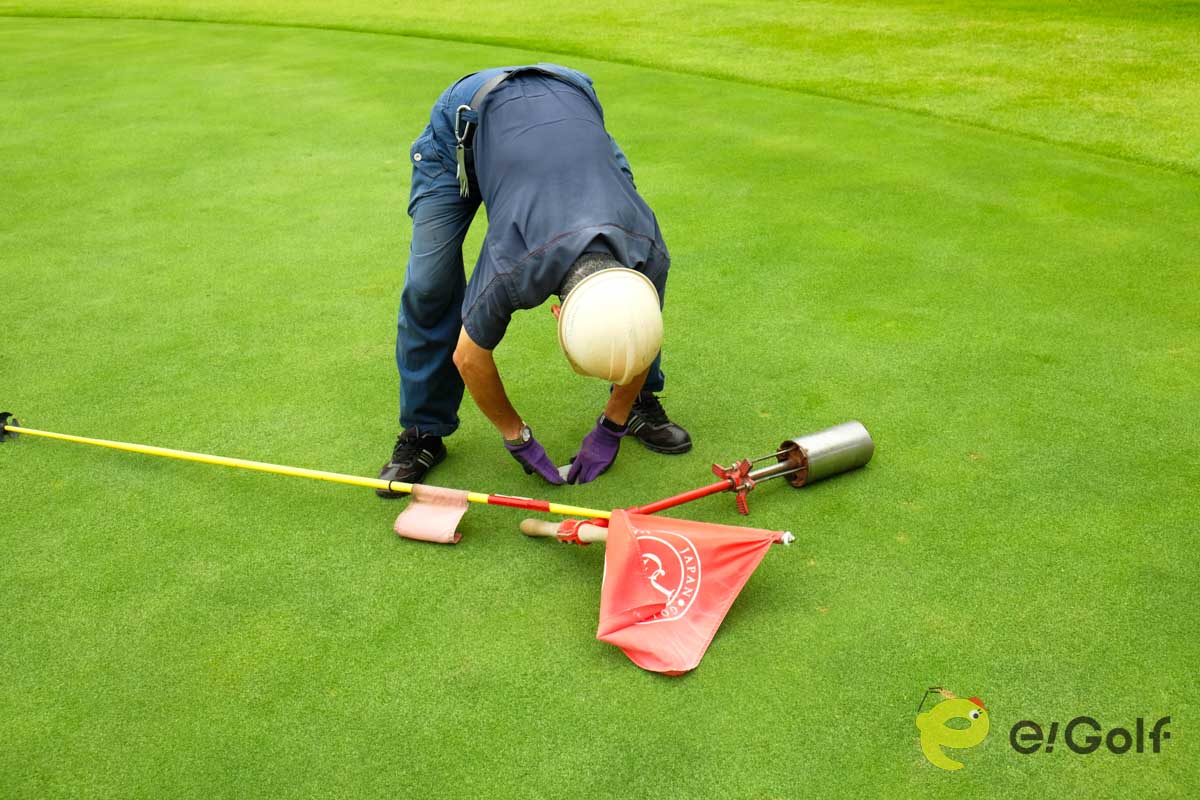 引き抜いたホールカップを先ほど新しく切ったホールに設置する