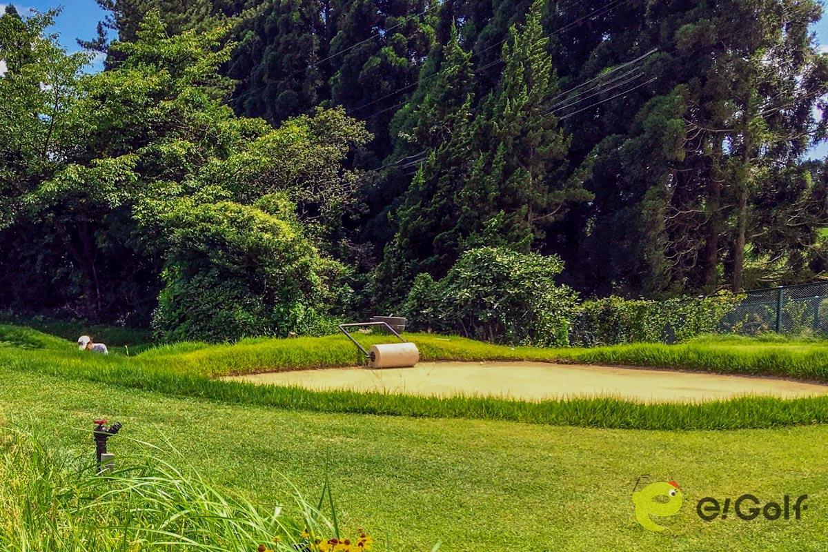 神戸GCに再現されたサンドグリーン　写真：林 郁夫