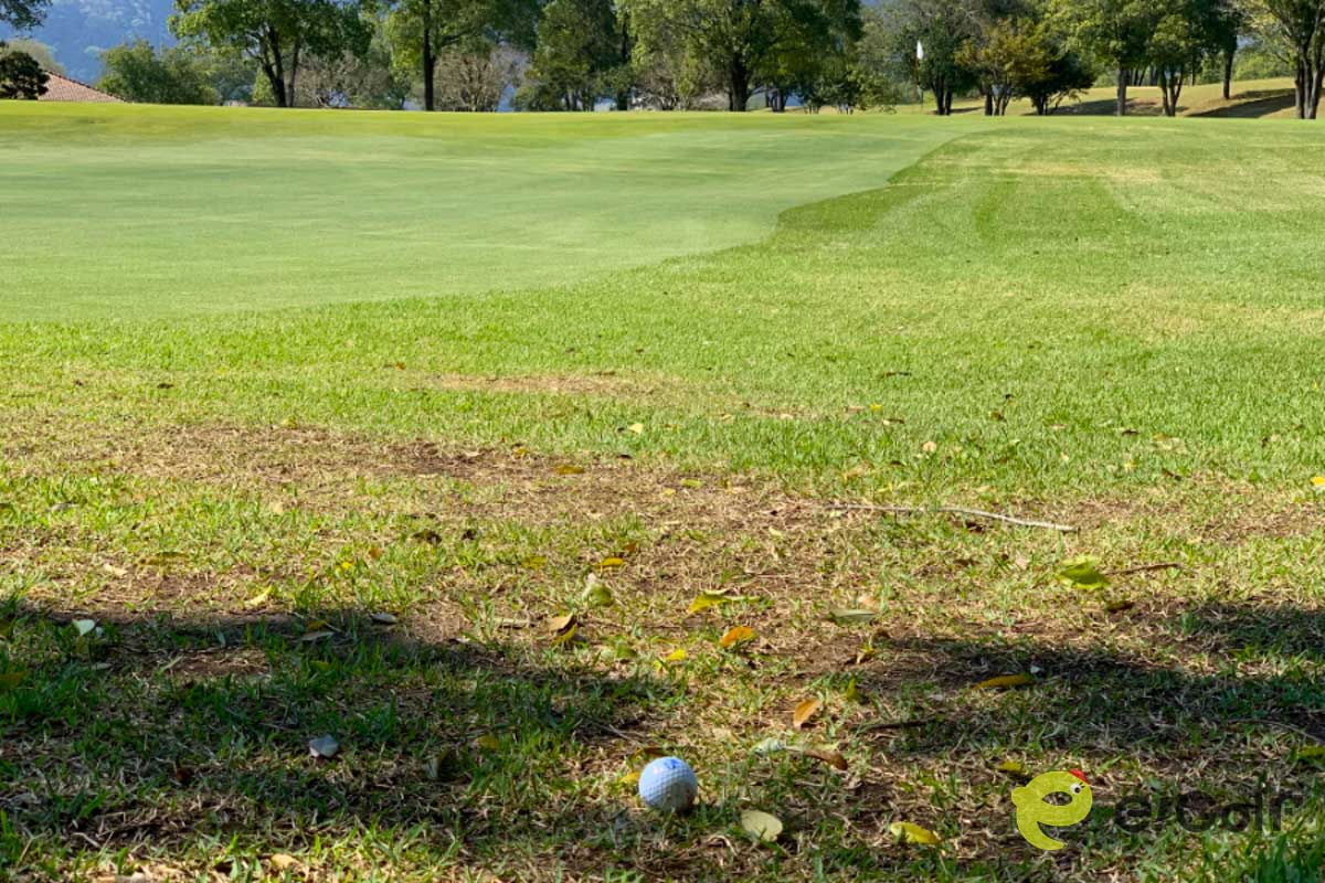「トップ気味でもショート」「ダフっても届く」といった普通とは逆の練習をすることで、状況に合わせた「保険の掛け方」が身につく