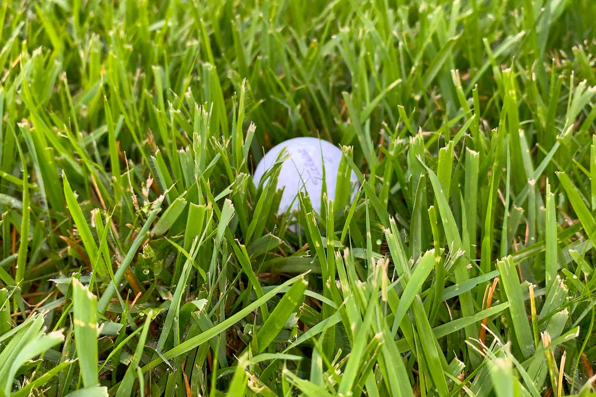 ラフが元気な夏場が終わるまでは、大きく曲がっていなくてもロストボールしてしまう「アンラッキー」は必ず起こる