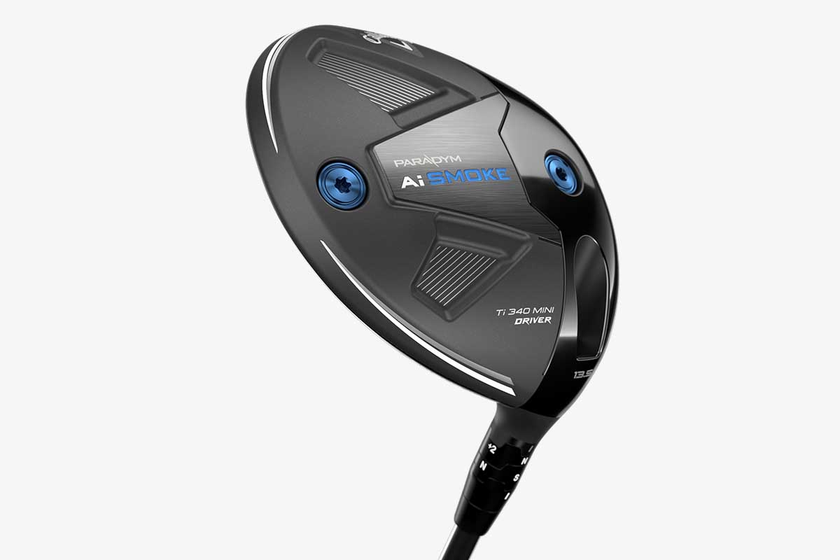 パラダイム エーアイ スモーク ティーアイ 340 ミニドライバー