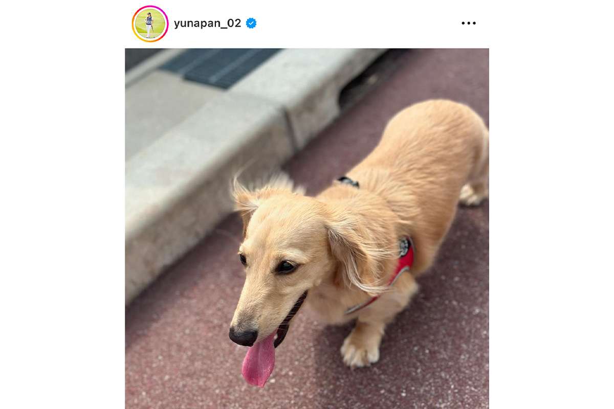 西村優菜のインスタグラム（@yunapan_02）より