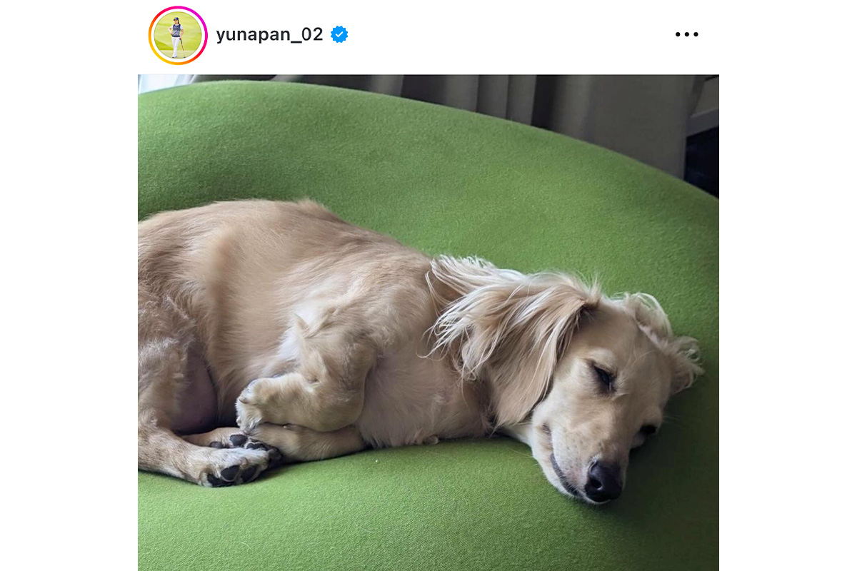 西村優菜のインスタグラム（@yunapan_02）より