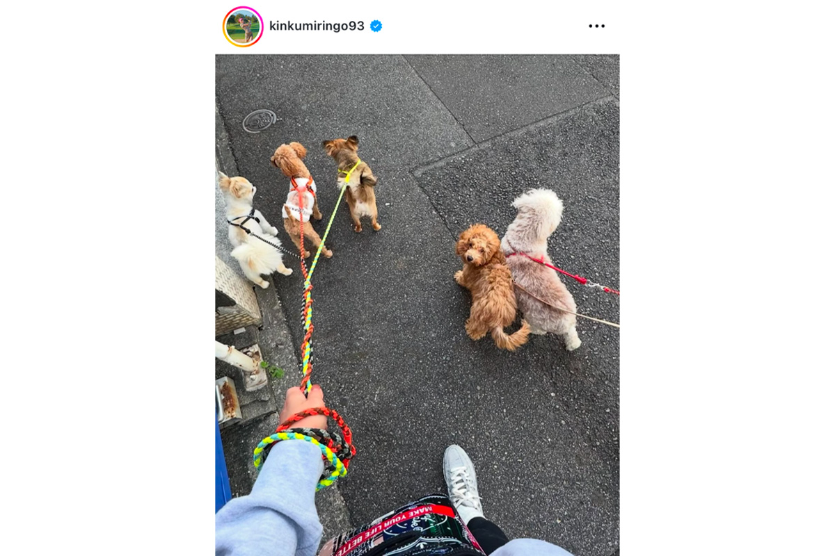 金田久美子のインスタグラム（@kinkumiringo93）より