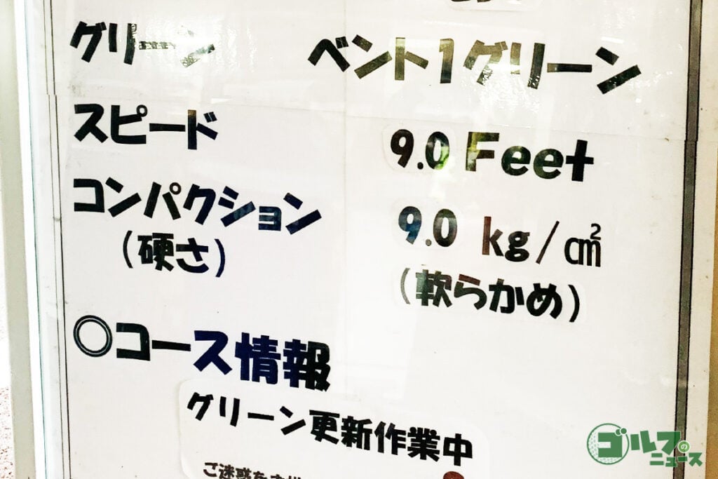 feet001-2-1024x683.jpg