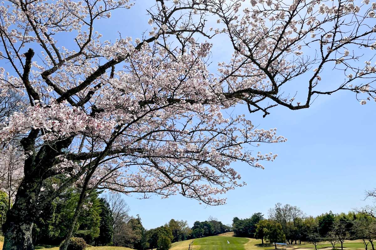 鳴尾ゴルフ倶楽部（兵庫県川西市）