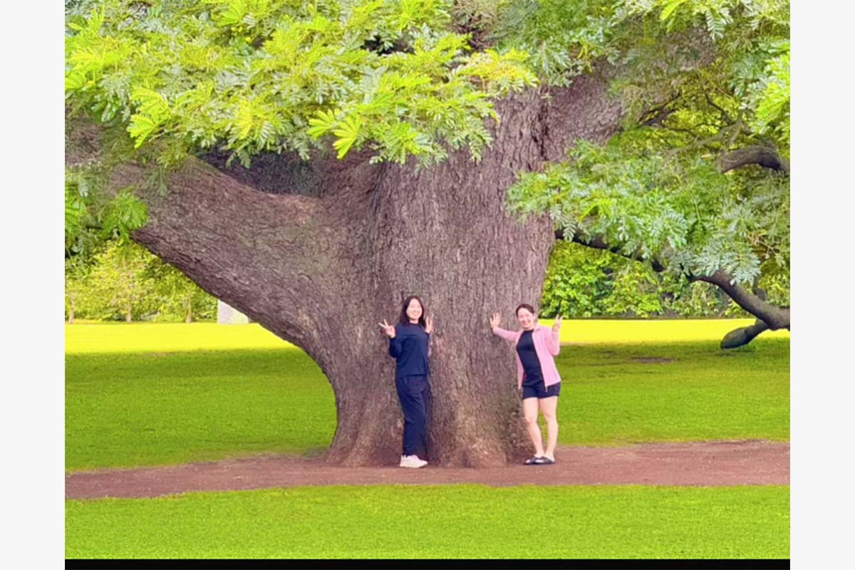 小祝さくらのインスタグラム（@sakura_koiwai_official）より