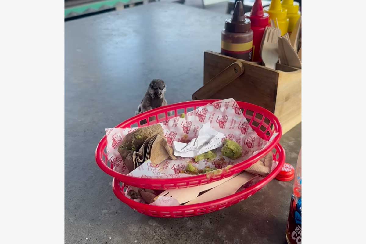 イ・ボミのインスタグラム（@bomee.lee）より