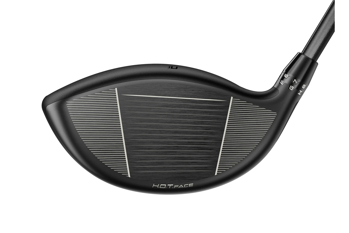 DS-ADAPT LS ドライバー