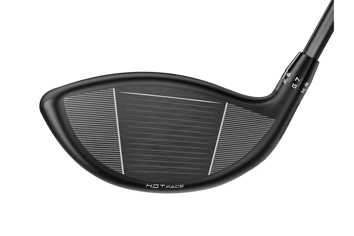 DS-ADAPT MAX-D ドライバー