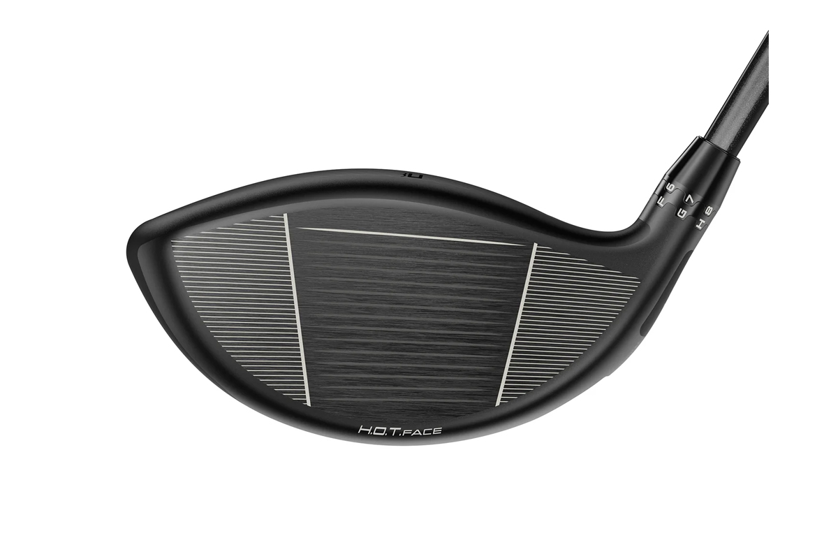 DS-ADAPT X ドライバー