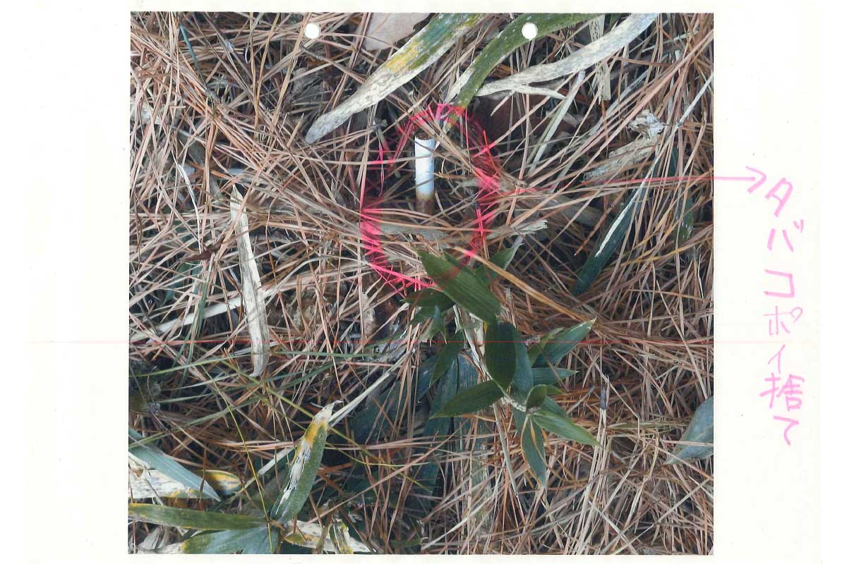 チサンカントリークラブ北条の公式HPより