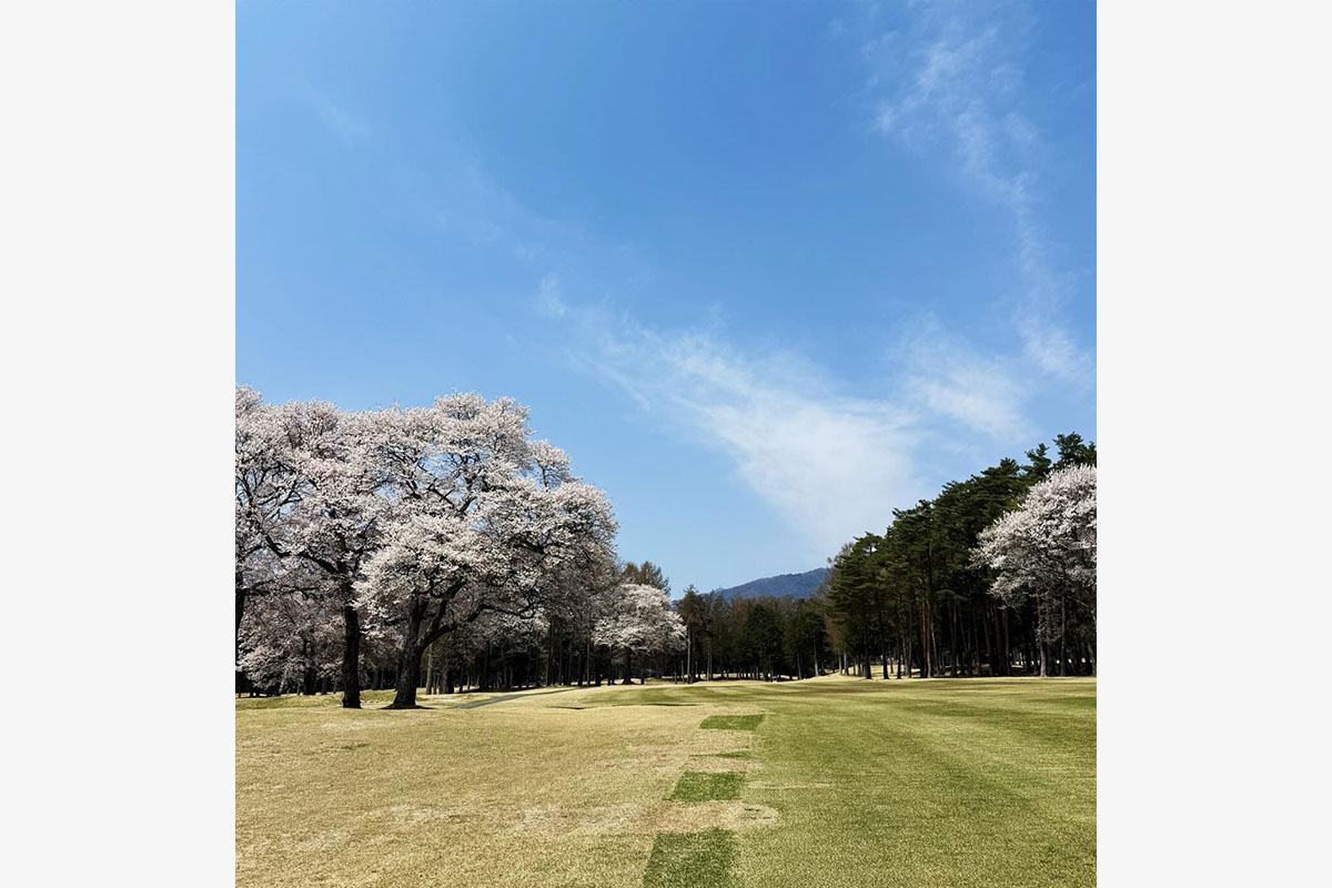 さだまさしのインスタグラム（@sada_masashi）