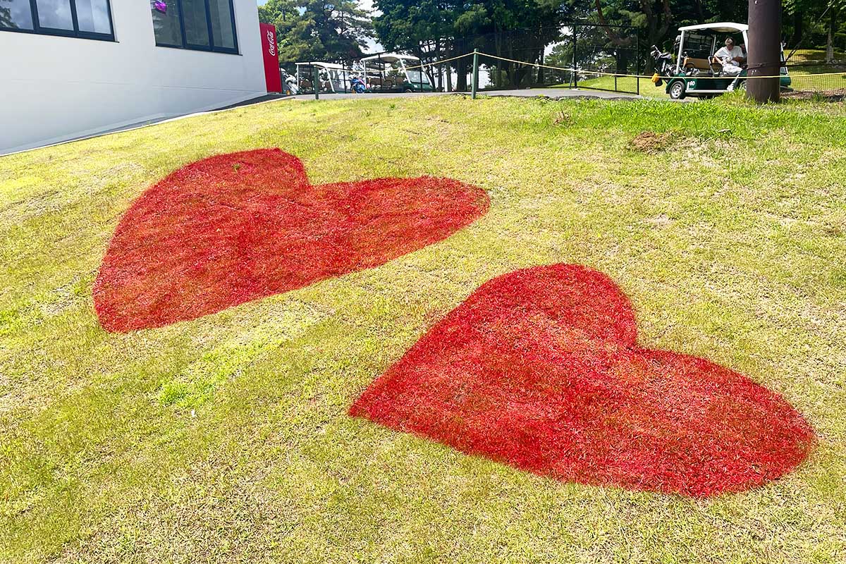 1日限定でグリーンに赤いハートマークが描かれた