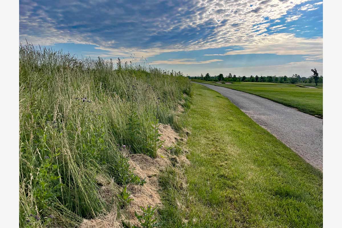 フェアウェイを外すとボールを見つけるのは至難の業