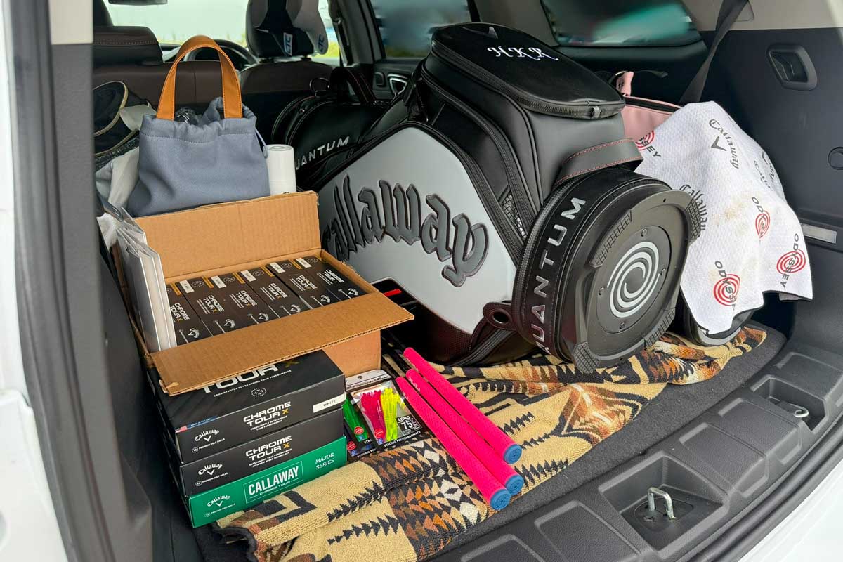 自宅のクローゼットと倉庫をそのまま載せたような愛車のラゲッジスペース　写真：本人提供
