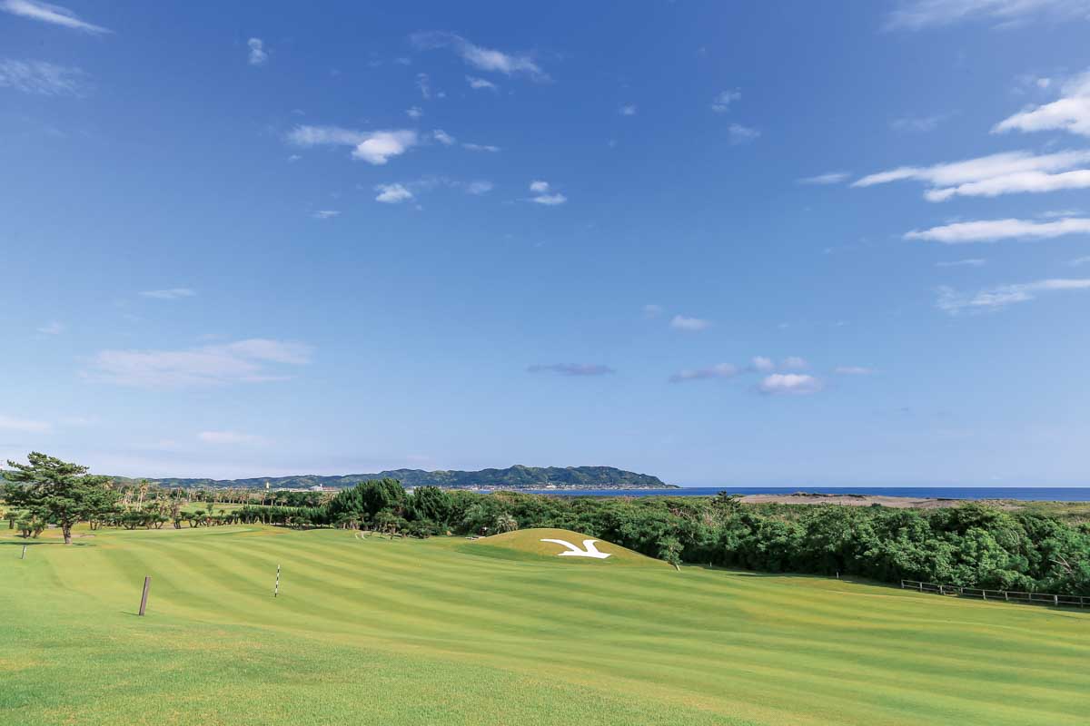 西コースの８番ホール。シーサイドコースにはやはり「カモメ」が似合う　写真提供:館山カントリークラブ