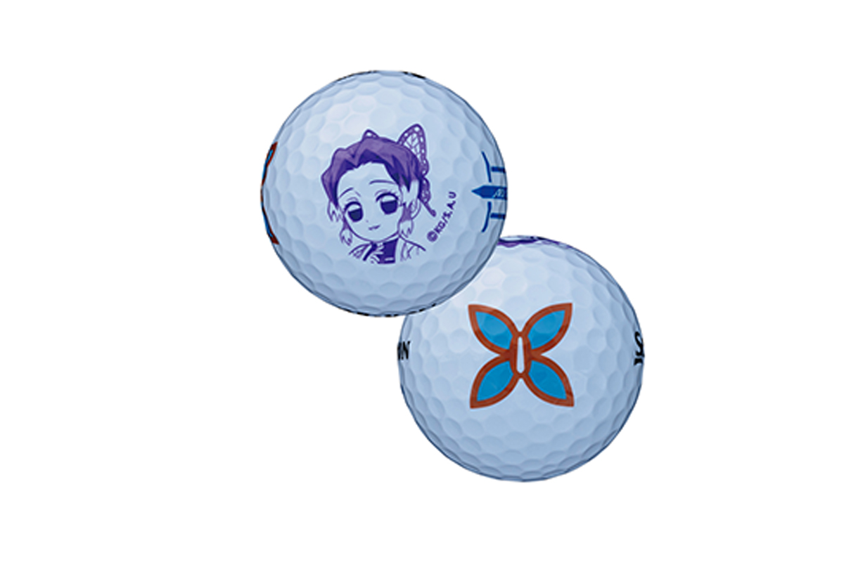 胡蝶しのぶ　写真：スリクソン　(C)吾峠呼世晴 ／集英社・アニプレックス・ufotable