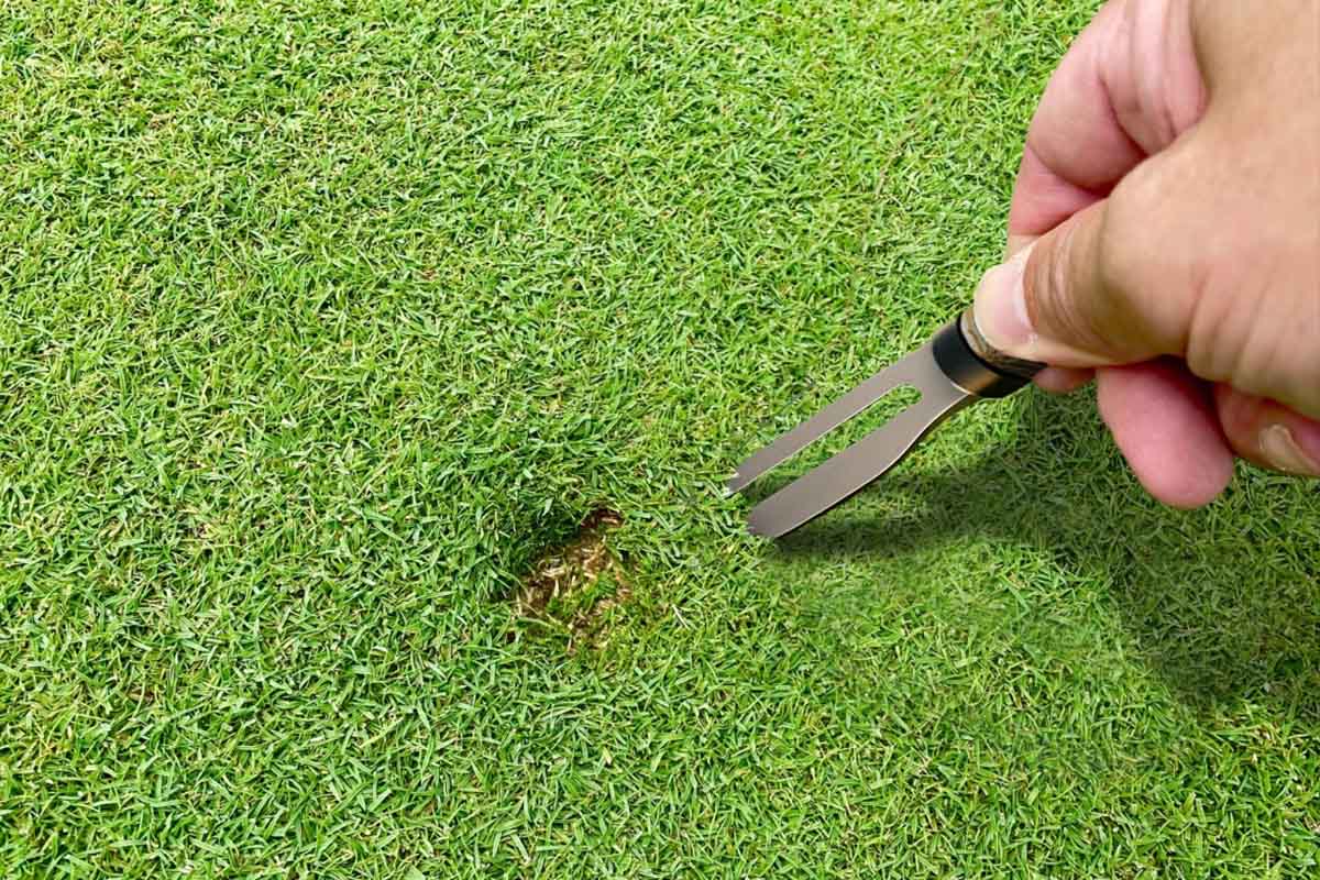 使用イメージ　画像：CAMPFIREより