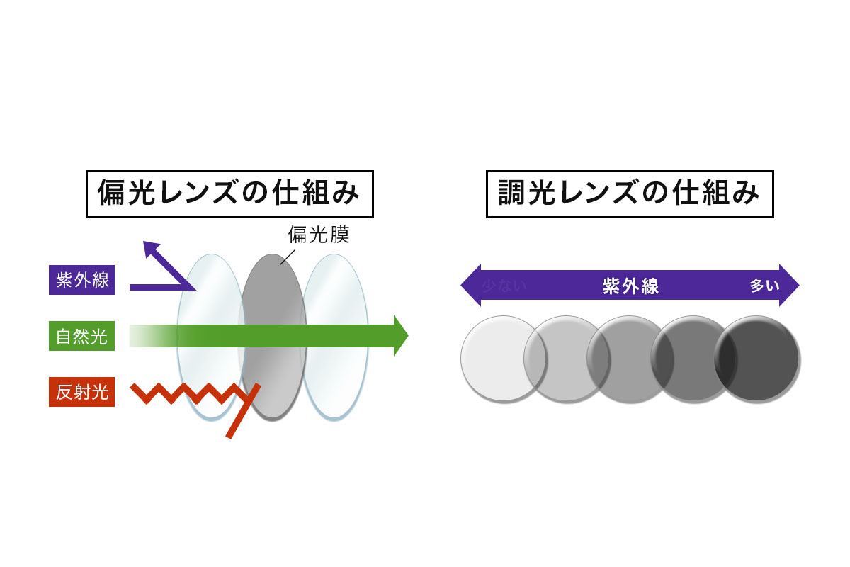 偏光レンズ・調光レンズの仕組み　画像：株式会社ゴルフライブ