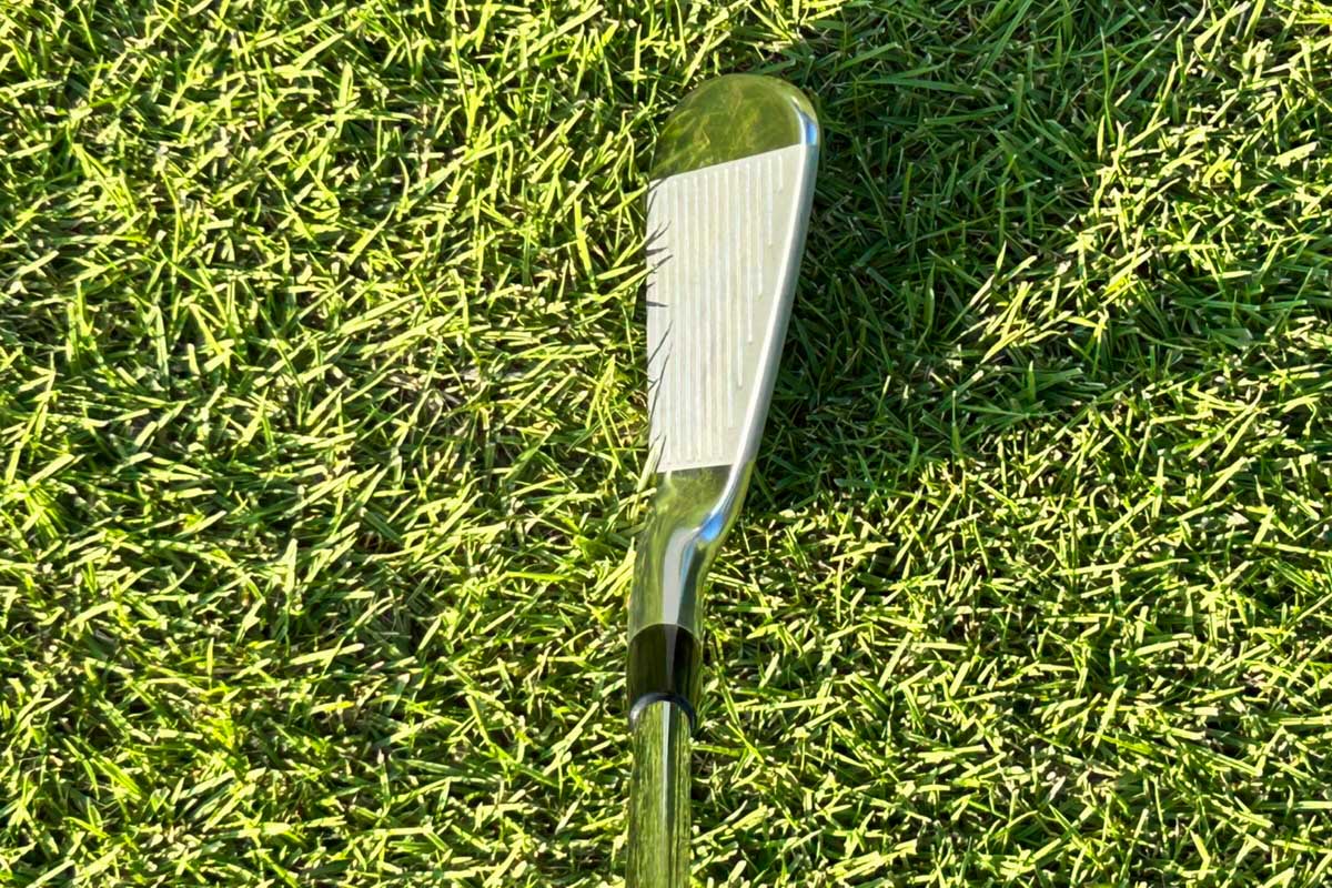 稲垣那奈子サイン入りゴルフボール ホワイト/グリーン 稲垣那奈子サイン入りゴルフボール ホワイト/グリーン