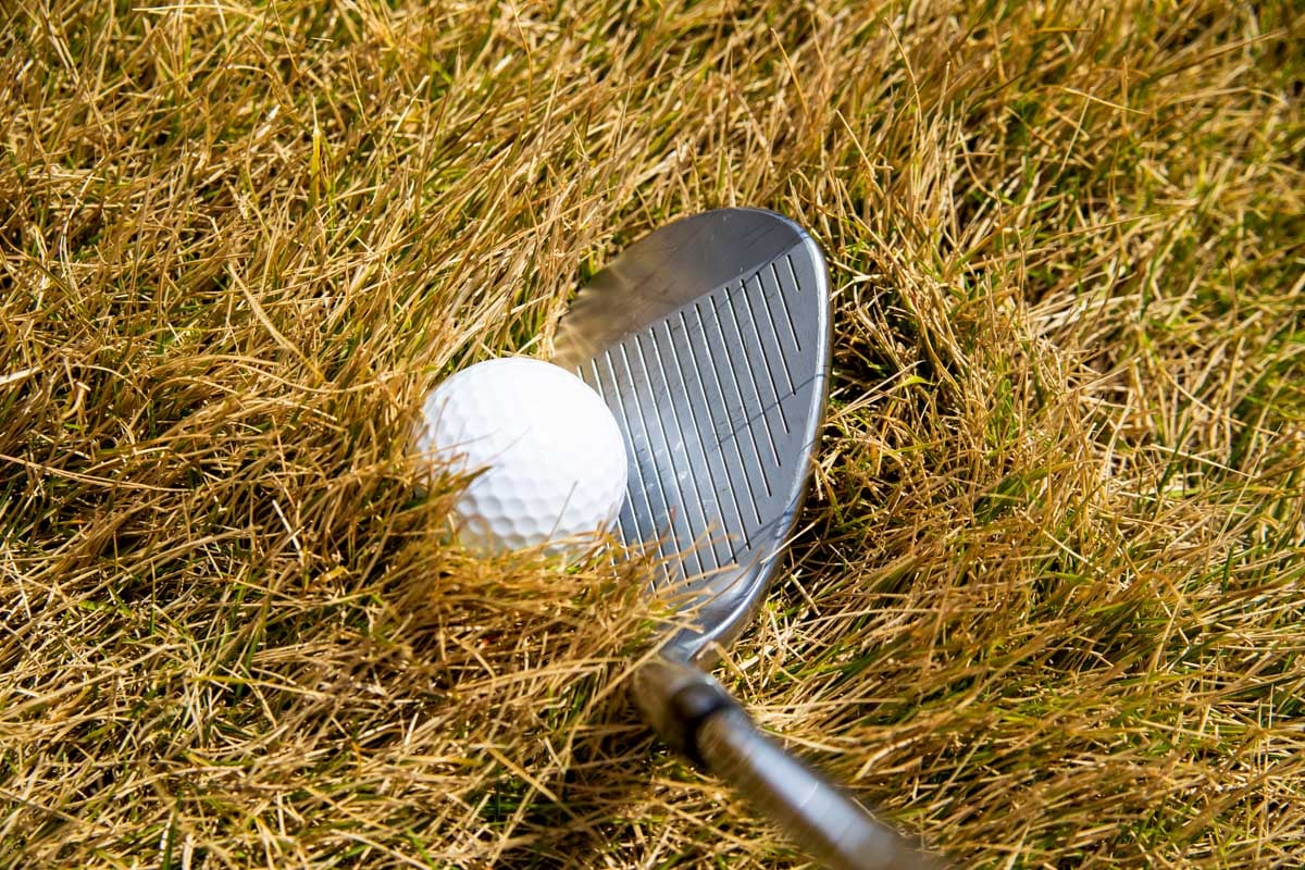 芝が枯れているように見えても密度によっては抵抗が強い場合も　写真：PIXTA