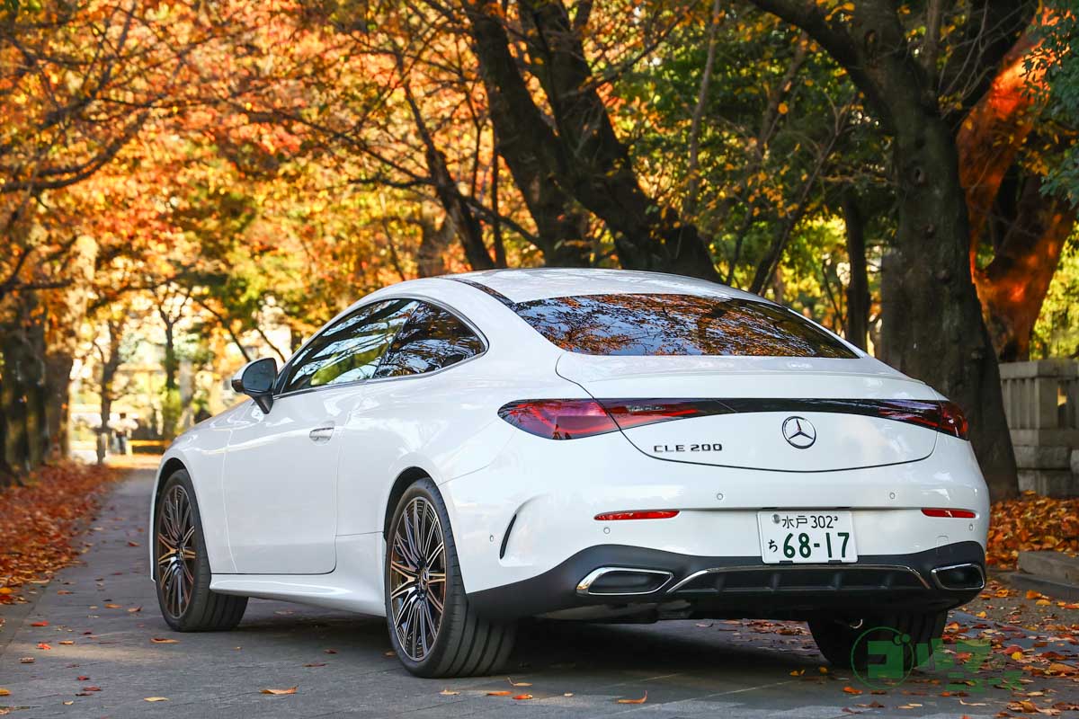 力強く張り出したフェンダーが特徴的なリヤビュー。上品かつスポーティーなシルエット