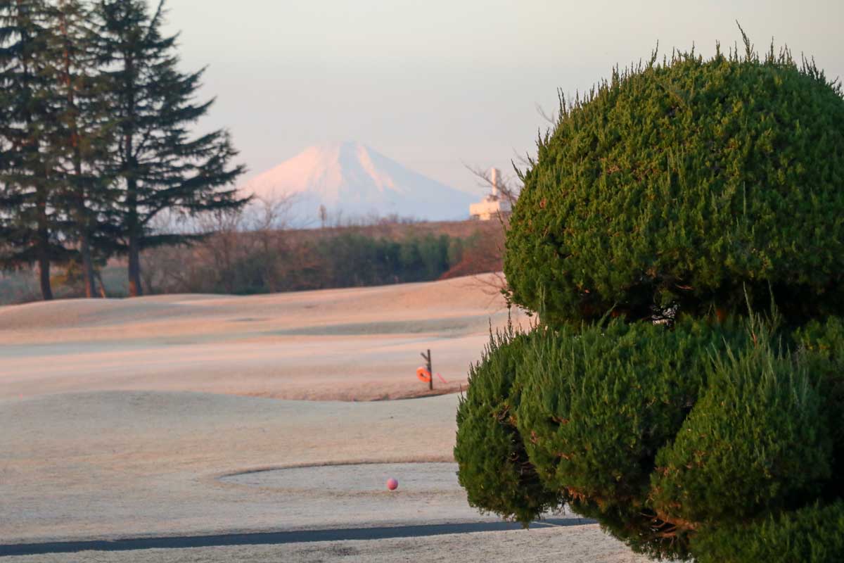 川越グリーンクロス最後の日の光景　写真：清流舎