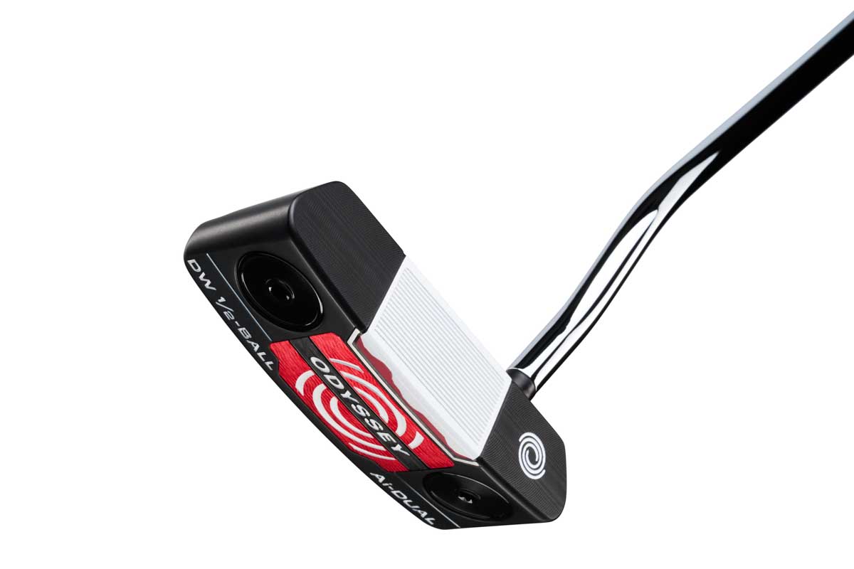 Ai-DUAL 1/2-BALL DW