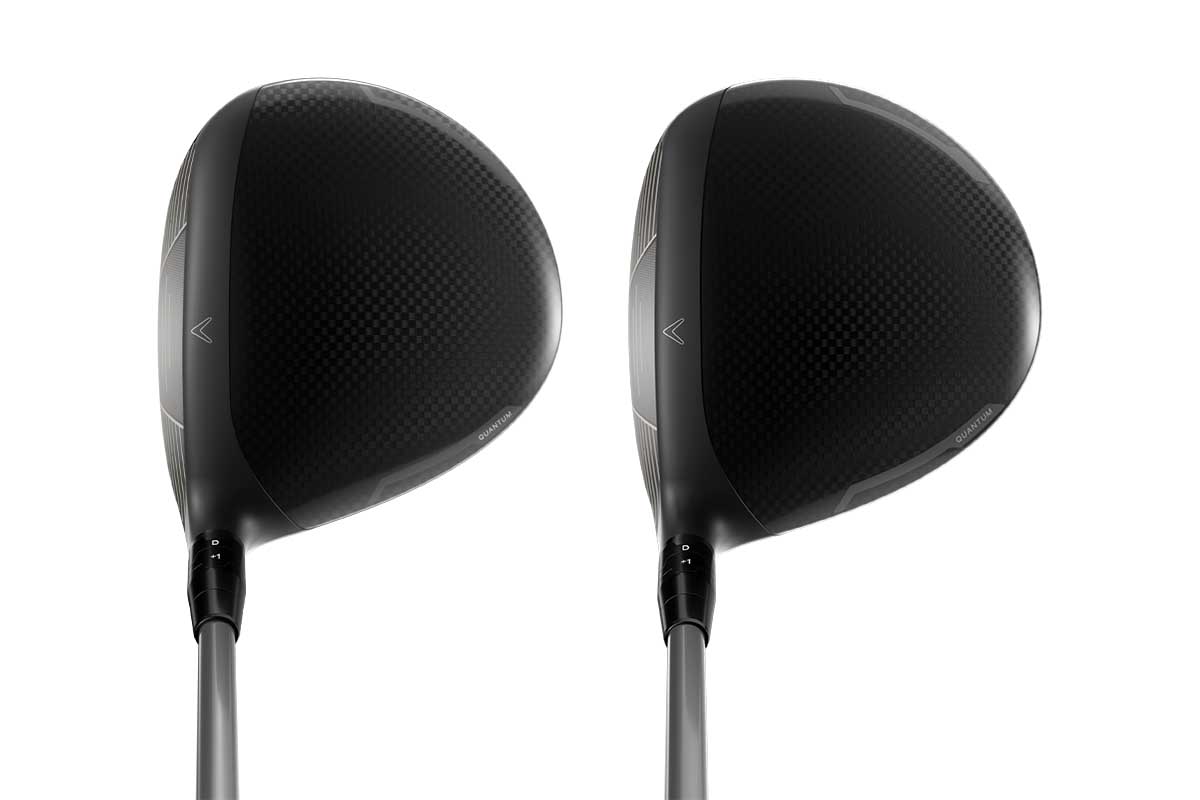 左から「クアンタム MAX」「クアンタム MAX D」の構えた見た目