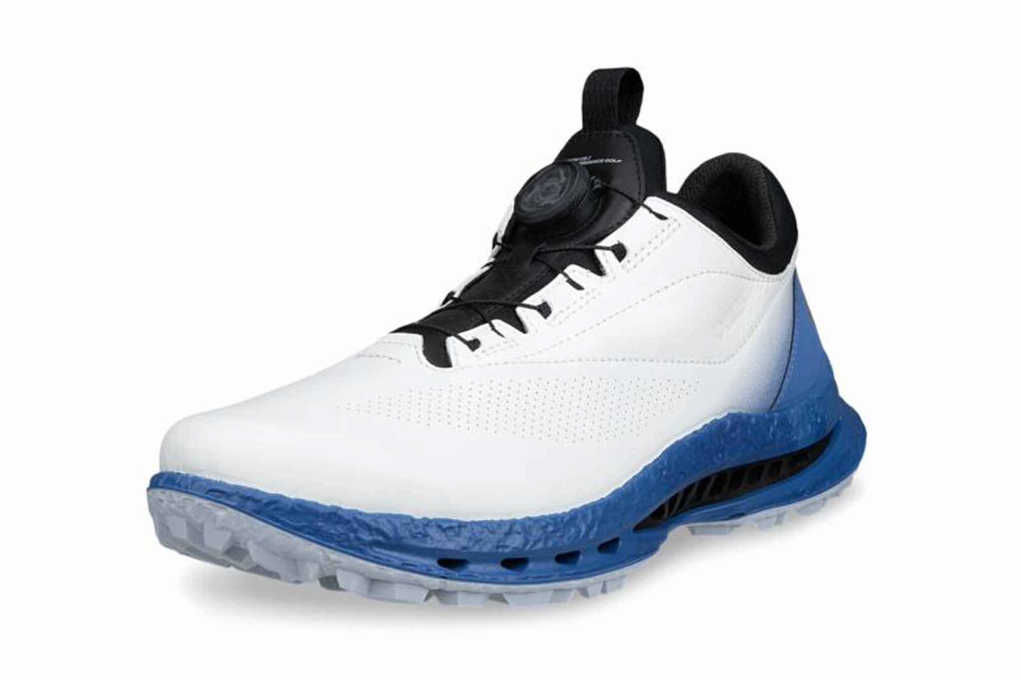 第4位　ECCO GOLF BIOM C5（ECCO）