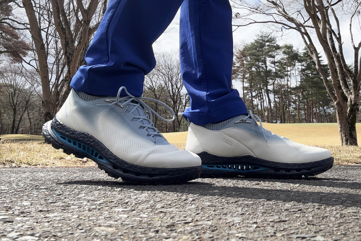 今回履いたのはECCO「BIOM C5」のレースタイプ