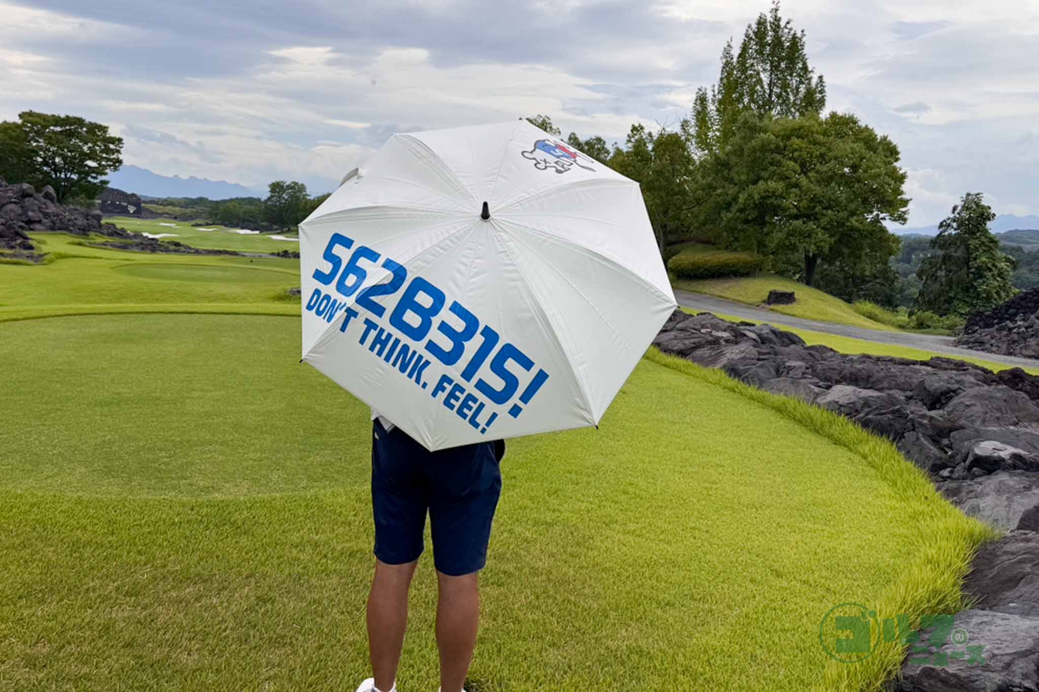 セイワの晴雨兼用日傘「rcp」シリーズから登場した「野村タケオコラボモデル　GBシロクマ」